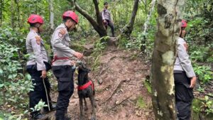 Polda Sulsel Kerahkan Anjing Pelacak K-9 Cari Korban Pesawat ATR 42-500 di Pangkep