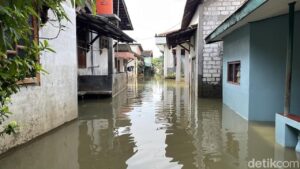 Banjir Pati Meluas, 60 Desa di 7 Kecamatan Masih Terendam Akibat Luapan Sungai