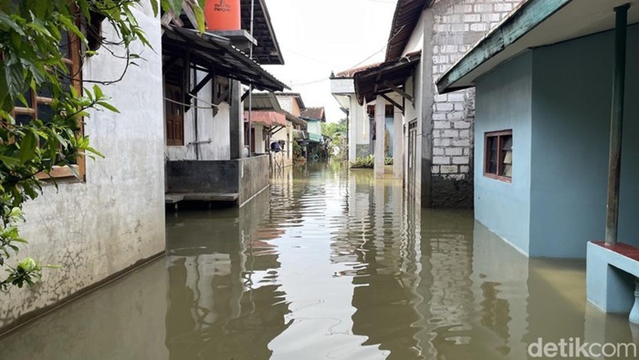 Banjir Pati Meluas, 60 Desa di 7 Kecamatan Masih Terendam Akibat Luapan Sungai