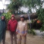 Pohon Beringin 15 Meter Tumbang Timpa Kolam Renang Akibat Hujan Deras di Ciputat