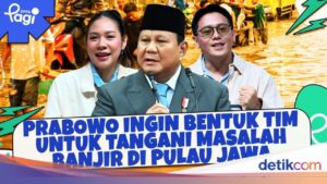 Presiden Prabowo Bentuk Tim Kajian untuk Tuntaskan Masalah Banjir Menahun di Pulau Jawa