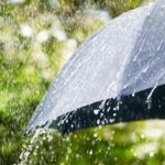 Cuaca Ekstrem Landa Jakarta, Pemprov DKI Perintahkan ASN dan Pekerja Swasta WFH Hingga Akhir Januari