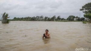 Banjir Sukawangi Bekasi Meluas, Ribuan Keluarga Mengungsi Akibat Luapan Kali CBL