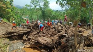 Banjir Bandang Purbalingga Terjang Desa, Arus Deras Bawa Kayu Gelondongan