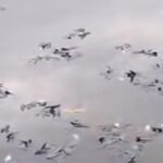 Ikan Mati Massal di Situ Citongtut Bogor, Pemkab Bogor Turun Tangan Selidiki Penyebab