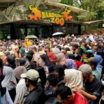 Ribuan Wisatawan Padati Bandung Zoo di Hari Terakhir Tiket Gratis Akhir Tahun
