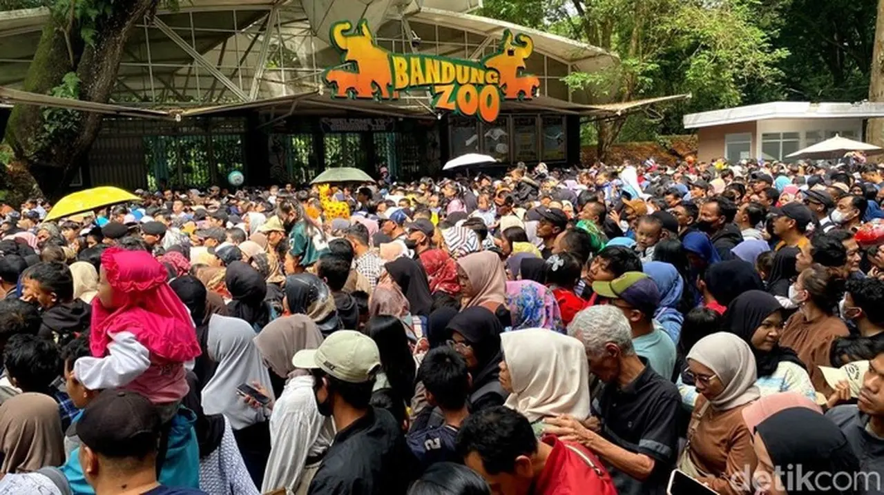 Kepadatan Di Pintu Masuk Bandung Zoo. (wisma Putra/detikjabar)