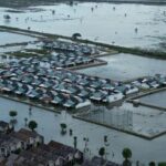 Banjir Bekasi Meluas: 5.168 Hektare Sawah Terendam, Petani Terancam Gagal Panen