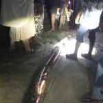 Wanita di Maros Nyaris Tewas Dililit Ular Piton 8 Meter Saat Hendak Ambil Air Wudhu