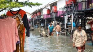 Waspada Banjir Rob Pesisir Jakarta, BPBD Imbau Warga Siaga Hingga 3 Februari 2026