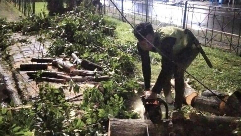 Pohon Tumbang Timpa Rumah Dinas Kodim di Pulogebang, Petugas Gabungan Berhasil Evakuasi