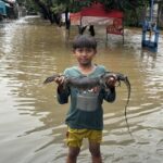 Warga Bekasi Tangkap 3 Ular Sanca dan 1 Biawak di Tengah Banjir Kranji