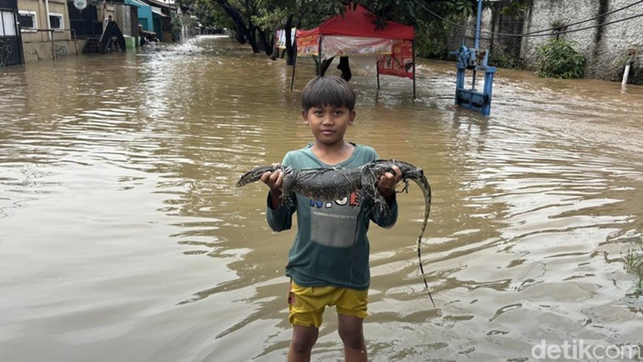 Warga Bekasi Tangkap 3 Ular Sanca dan 1 Biawak di Tengah Banjir Kranji