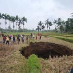Lubang Raksasa Muncul Misterius di Sawah Warga Sumatera Barat Pasca Suara Ledakan