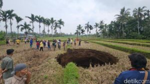 Lubang Raksasa Muncul Misterius di Sawah Warga Sumatera Barat Pasca Suara Ledakan