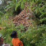 Tanah Bergerak di Sukamakmur Bogor: 60 Keluarga Terdampak, Pemkab Kaji Relokasi Permanen