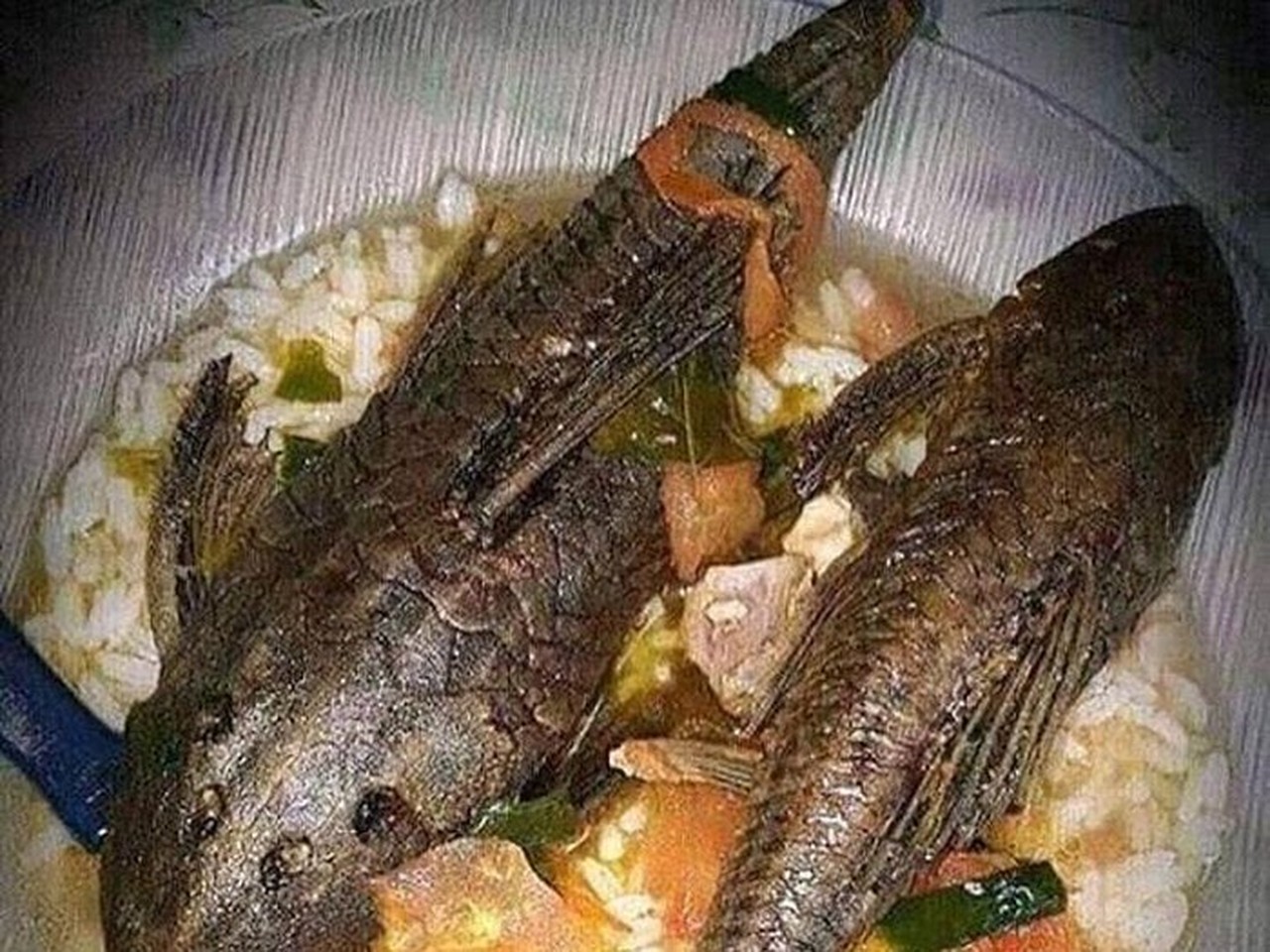 Pemprov DKI Jakarta Peringatkan Bahaya Konsumsi Ikan Sapu-sapu dari Kali Tercemar