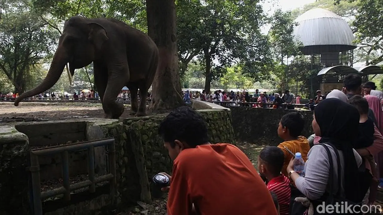Taman Margasatwa Ragunan (ari Saputra/detikfoto).
