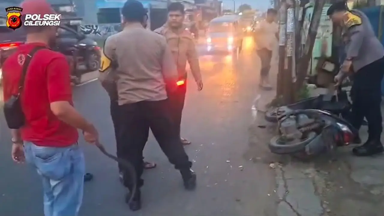 Pegawai Harian Lepas (phl) Polres Bogor Menjadi Korban Begal Di Jalan Raya Alternatif Cileungsi, Bogor. Pelaku Tabrak Tiang Dan Lalu Ditangkap Polisi. (foto: Dok Istimewa)