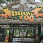 Kementerian Kehutanan Cabut Izin Konservasi Bandung Zoo, Satwa Diselamatkan