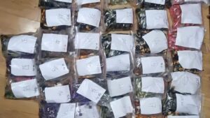 Polisi Ungkap Peredaran Vape Berisi Narkoba Etomidate di Apartemen Jaksel