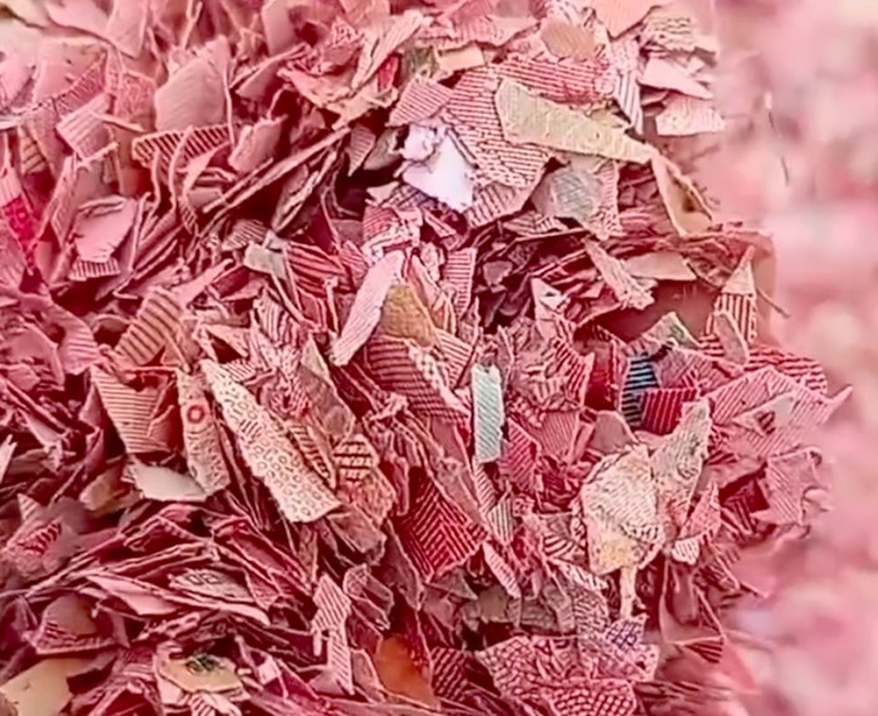 Pemilik Lahan TPS Liar Bekasi Ungkap Pihak Pembuang Cacahan Diduga Uang