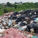 Cacahan Uang Rp 100 Ribu dan Rp 50 Ribu Ditemukan di TPS Liar Bekasi, Ternyata Hasil Pemusnahan BI