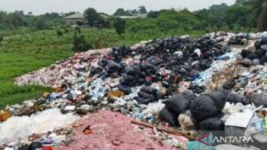 Cacahan Uang Rp 100 Ribu dan Rp 50 Ribu Ditemukan di TPS Liar Bekasi, Ternyata Hasil Pemusnahan BI