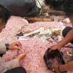 Cacahan Uang Asli Rp 100 Ribu dan Rp 50 Ribu Ditemukan di TPS Liar Bekasi