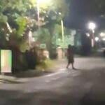 Gempa M 6,4 Guncang Pacitan, BMKG Jelaskan Penyebab dan Potensi Tsunami