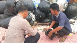 Cacahan Uang Rp 100 Ribu di Bekasi Ternyata Asli, Ini Penjelasan Bank Indonesia