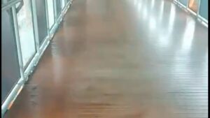 Skywalk Kebayoran Kini Bebas Kotoran Kucing Berkat Petugas Kebersihan yang Disiagakan