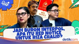 Interpol Terbitkan Red Notice untuk Riza Chalid, Apa Artinya?