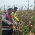 Aipda Iwan: 15 Tahun Bina Ratusan Petani, Tingkatkan Ekonomi Desa di Ogan Ilir