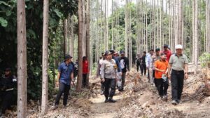 Gajah Sumatera Ditemukan Mati Tanpa Kepala dan Gading, Polisi Buru Pelaku Perburuan Liar