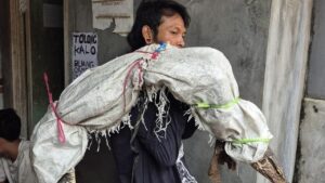 Pria Pemanggul Karung di Jakbar Ternyata Bawa Biawak, Bukan Mayat