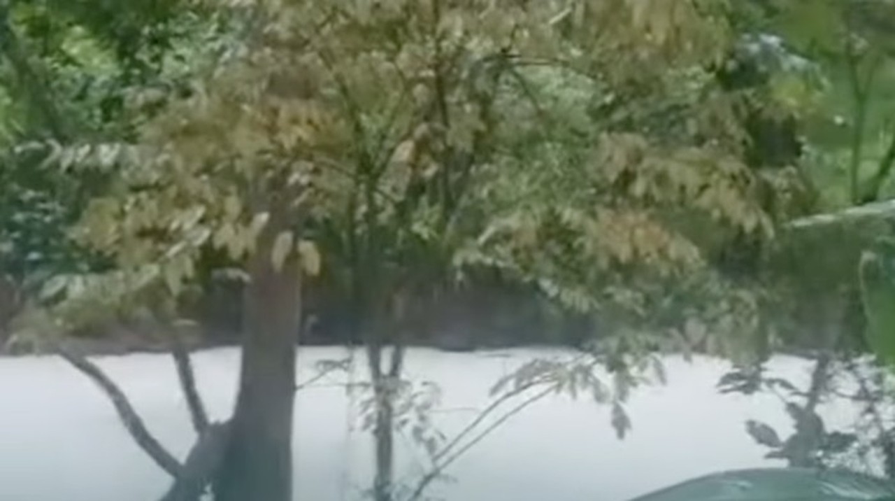 Sungai Jaletreng Tercemar Pasca Kebakaran Pabrik Pestisida, Warga Diimbau Tak Konsumsi Ikan