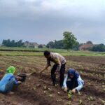 Aiptu Suwendi, Sang Penggerak Kemandirian Pangan di Desa Megu Gede Cirebon