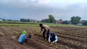 Aiptu Suwendi, Sang Penggerak Kemandirian Pangan di Desa Megu Gede Cirebon