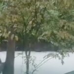 Pabrik Pestisida Terbakar Cemari Sungai Cisadane, Suplai Air Tangerang Sempat Terhenti