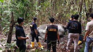 Kasus Gajah Tanpa Kepala di Riau: Polisi Periksa 33 Saksi, Pelaku Masih Misterius