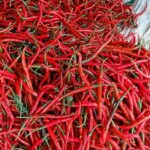 Jelang Ramadan, Pemprov DKI Waspadai Kenaikan Harga Minyak dan Cabai