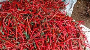 Jelang Ramadan, Pemprov DKI Waspadai Kenaikan Harga Minyak dan Cabai