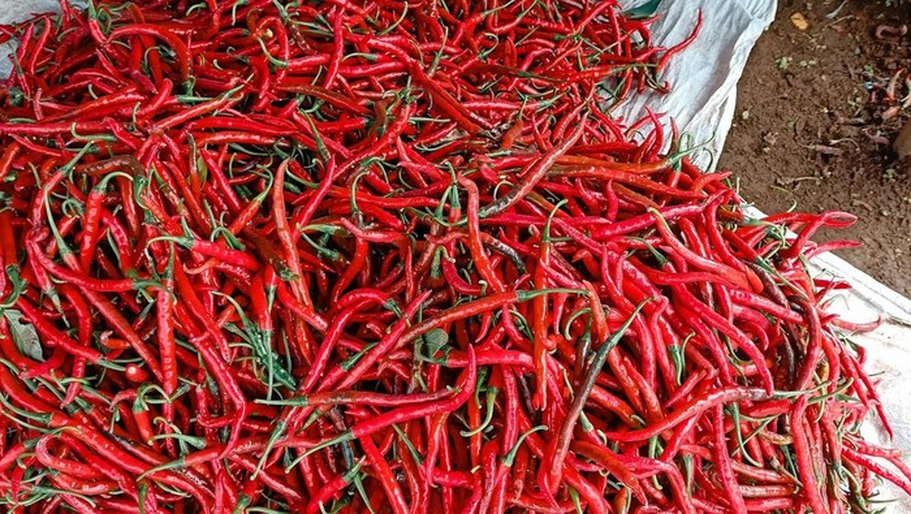 Jelang Ramadan, Pemprov DKI Waspadai Kenaikan Harga Minyak dan Cabai