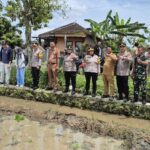Polda Jateng Kembangkan Padi Japonica Tarabas untuk Kurangi Ketergantungan Impor Beras