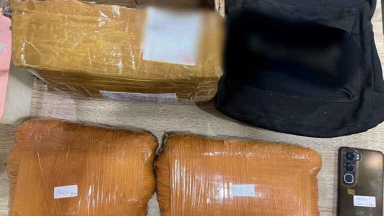 Polda Metro Jaya Gagalkan Pengiriman 2 Kg Ganja Melalui Ekspedisi di Depok