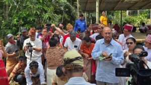 Pandji Pragiwaksono Jalani Ritual Permohonan Maaf ke Leluhur Toraja Usai Sidang Adat