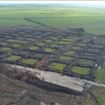 KKP Mulai Pembangunan Kawasan Tambak Udang Terintegrasi Senilai Rp 7,2 Triliun di Sumba Timur