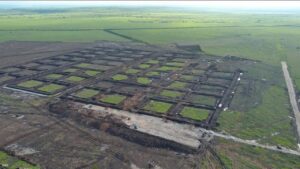 KKP Mulai Pembangunan Kawasan Tambak Udang Terintegrasi Senilai Rp 7,2 Triliun di Sumba Timur