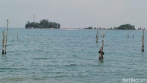 BMKG Peringatkan Potensi Banjir Rob di Pesisir Indonesia 12-19 Februari 2026